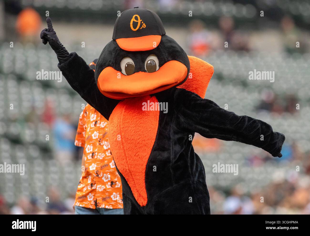 Baltimore, États-Unis. 28 août 2025. BALTIMORE, MD - AOÛT 28 : Orioles mascotte The Bird sur le terrain lors d'un match MLB entre les Orioles de Baltimore et les Red Sox de Boston, le 28 août 2025, à Oriole Park à Camden Yards, à Baltimore, Maryland. (Photo de Tony Quinn/SipaUSA) crédit : Sipa USA/Alamy Live News Banque D'Images