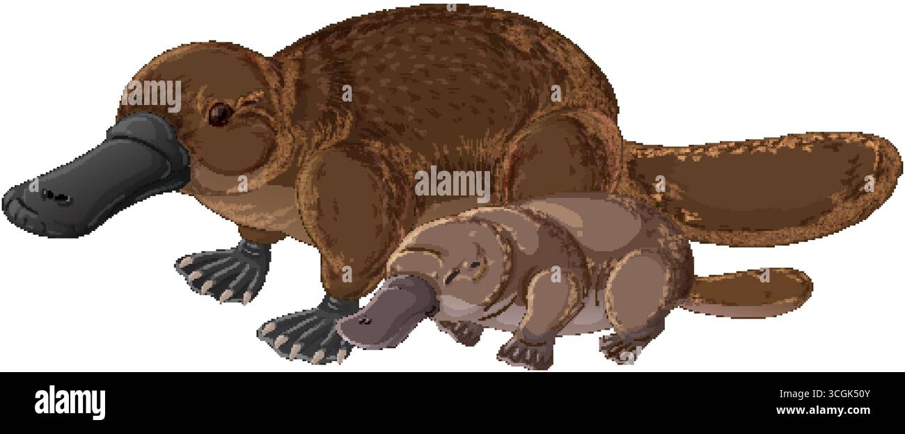 Illustration vectorielle terreuse d'ornithorynque adulte et bébé dans le profil, ombrage minimal, lignes épurées. Illustration de Vecteur