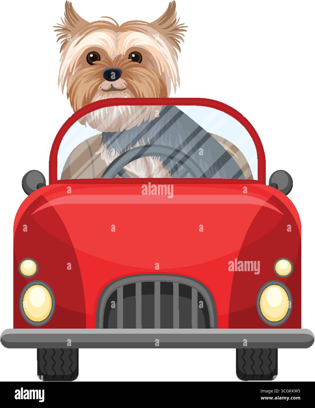 Mignon Yorkshire Terrier conduisant le cabriolet rouge, vue de face, illustration vectorielle avec des couleurs vives et propres. Illustration de Vecteur