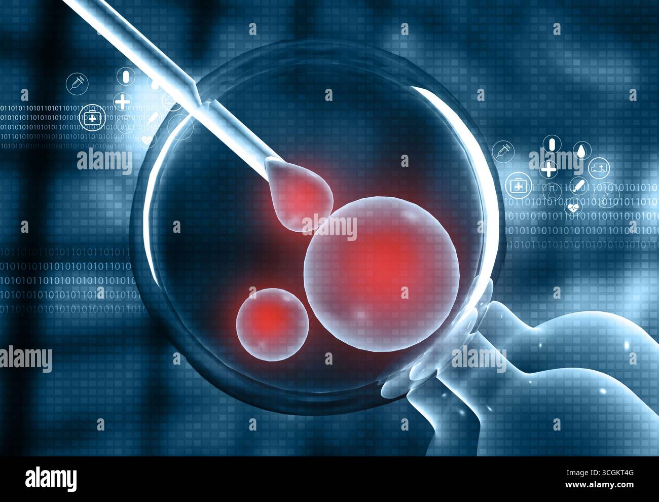 Fécondation in vitro FIV, formation médicale. illustration 3d. Banque D'Images