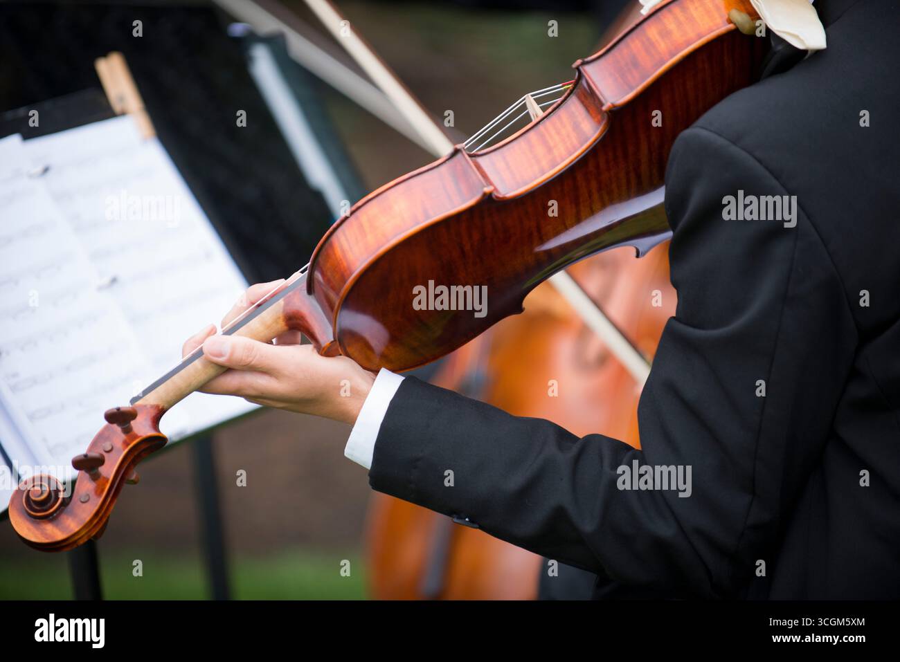Violoniste en tenue formelle jouant à l'événement extérieur avec la feuille M. Banque D'Images