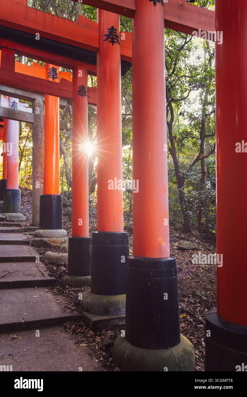 La lumière du soleil crée un effet d’étoiles entre les portes torii vermillon traditionnelles de Fushimi Inari à Kyoto, avec un fond de forêt et des marches en pierre Banque D'Images