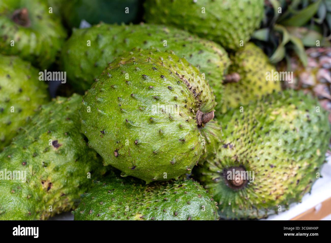 Corossol, Guanabana ou Anone ou Annona muricata et de noix de coco verte sur la rue du marché à Ubud, île de Bali, Indonésie. Close up Banque D'Images