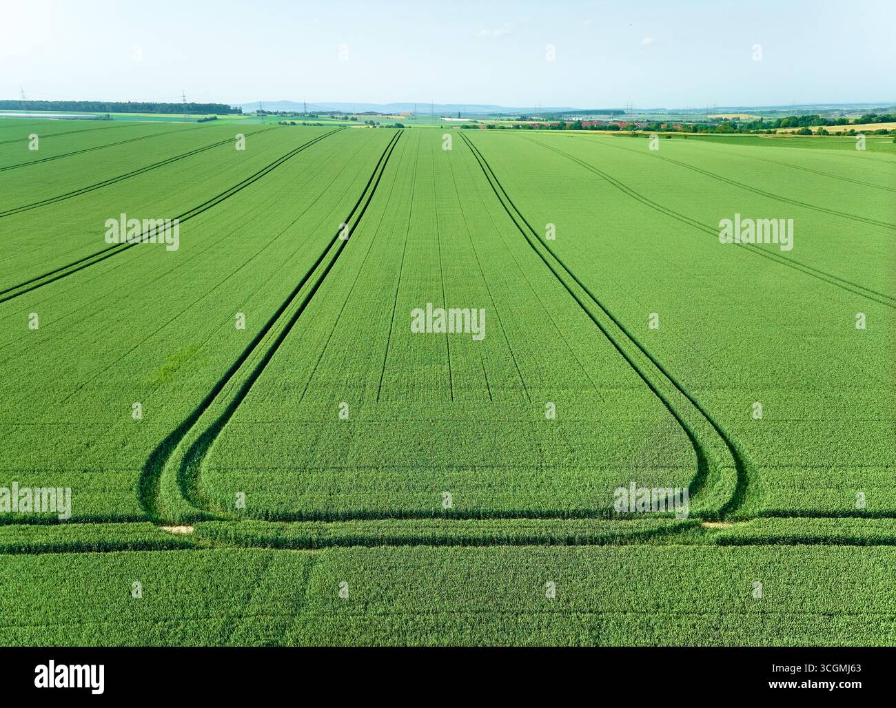 Vue drone d'un champ de maïs vert avec des pistes de tracteur dans le Bade-Württemberg, Allemagne Banque D'Images