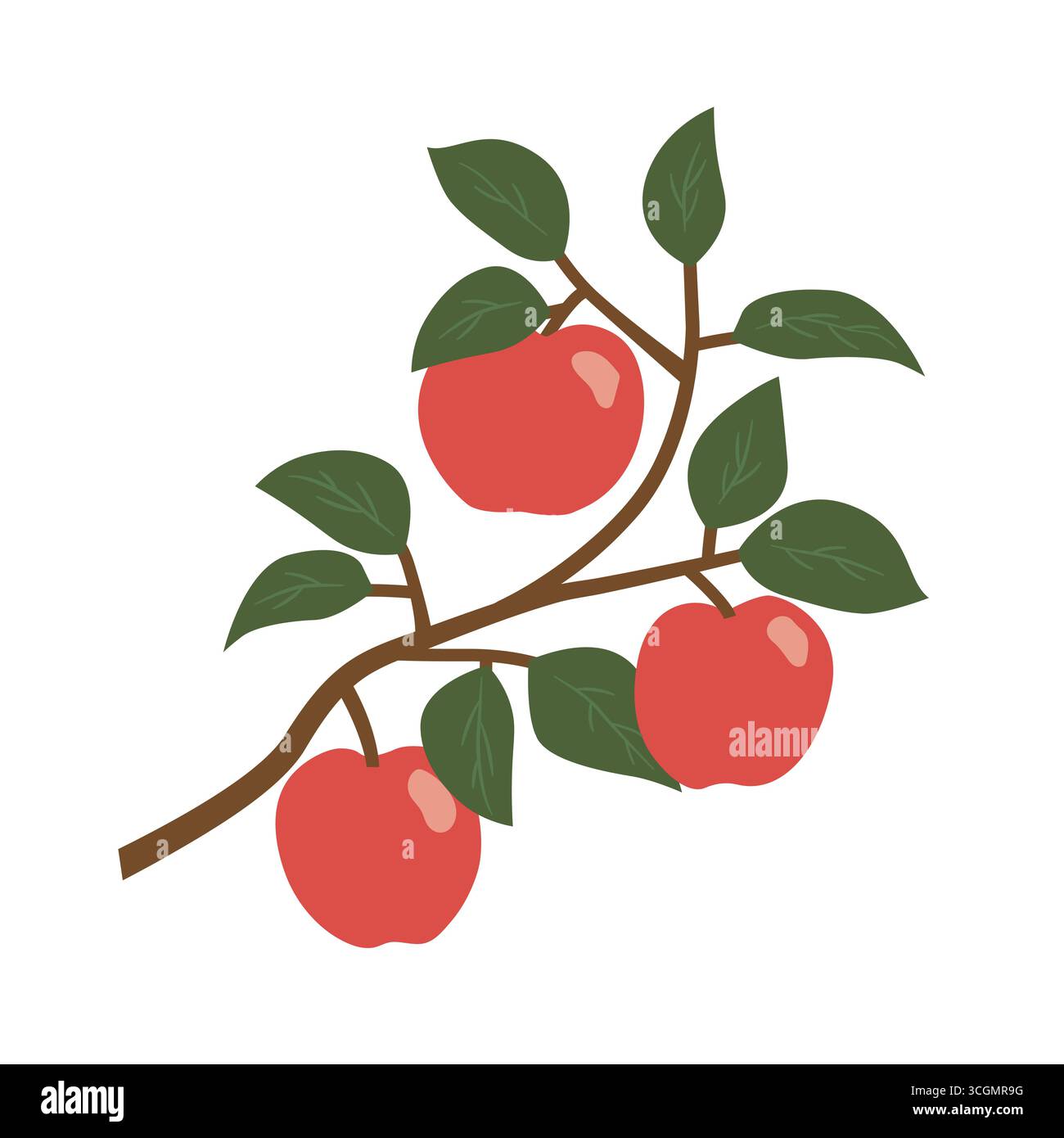 branche avec des pommes mûres fraîches - illustration vectorielle Illustration de Vecteur