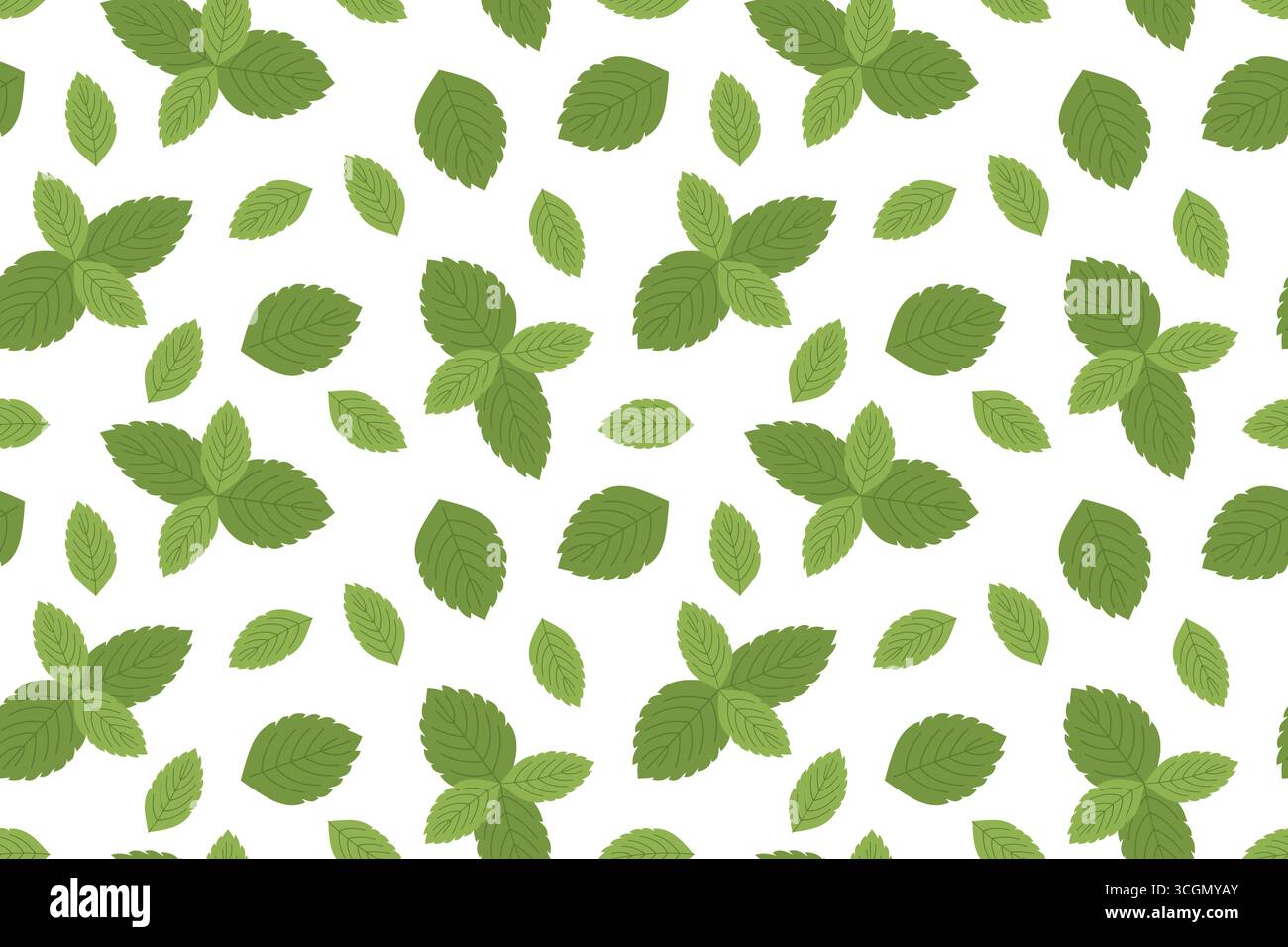 motif sans couture avec des feuilles de menthe fraîche ; parfait pour ajouter une touche rafraîchissante aux compositions culinaires ou aux motifs à base de plantes ; blogs alimentaires, recette c Illustration de Vecteur