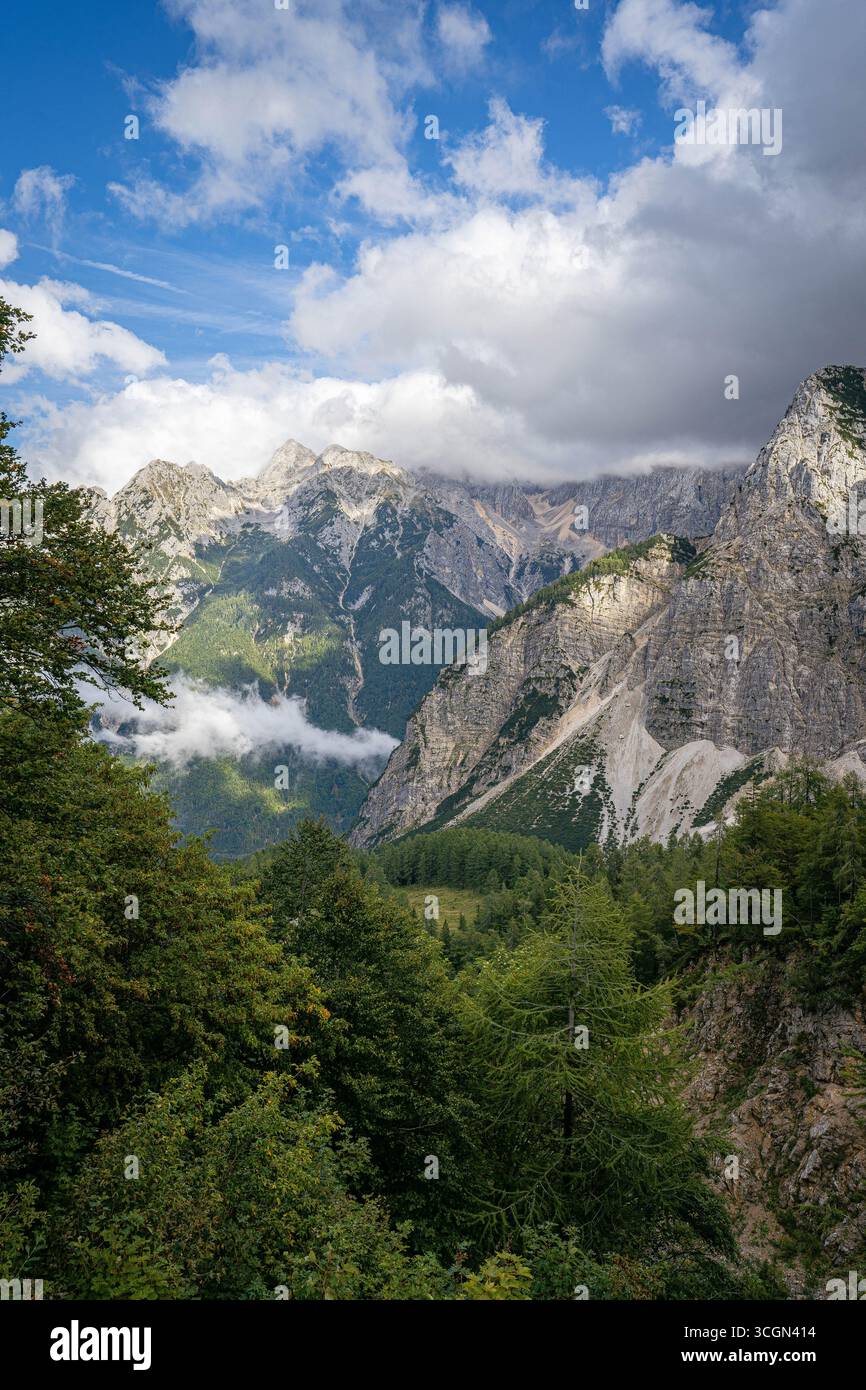 Vallée des Dolomites avec des falaises rocheuses spectaculaires, une forêt verte dense et des nuages dérivant sous un ciel bleu vif créant un paysage alpin Banque D'Images