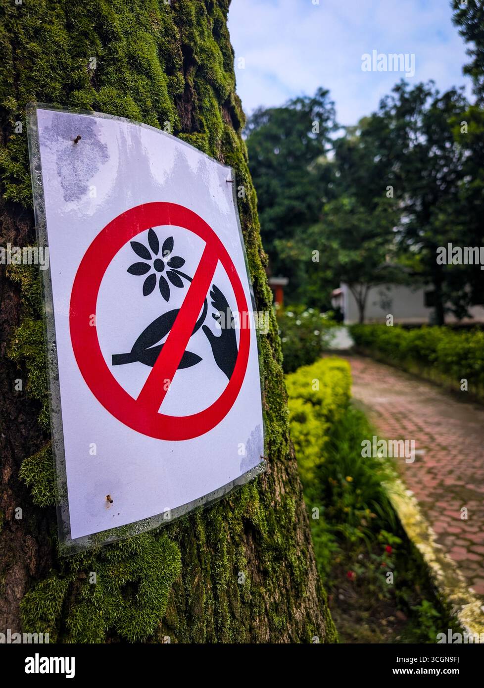 Panneau sur un arbre interdisant la cueillette de fleurs dans un parc. Banque D'Images