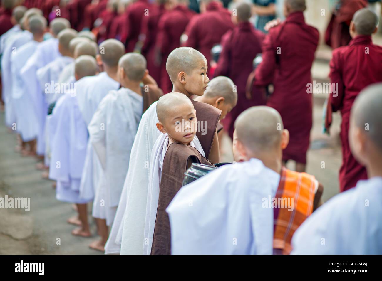 Monastère de Mahagandayon les novices bouddhistes Lunch Line Mandalay Myanmar // MANDALAY, Myanmar — les novices bouddhistes au monastère de Mahagandayon à Mandalay, Myanmar, font la queue pour leur déjeuner quotidien. Ce collège monastique de premier plan, l'un des plus grands du Myanmar, abrite des milliers de moines et de novices qui adhèrent strictement au Vinaya, le code de conduite monastique. Le repas communautaire est une partie centrale de leur routine quotidienne, après les rondes d'aumônes matinales. Le monastère de Mahagandayon, situé dans le canton d'Amarapura juste au sud de Mandalay dans la région de Mandalay, est un centre vital pour l'étude et la préservation Banque D'Images