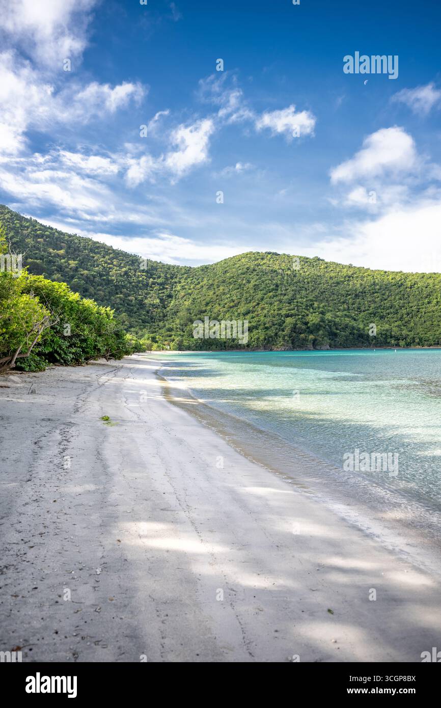 Maho Bay Beach St John Îles Vierges américaines // ST JOHN, USVI — Maho Bay Beach on est équipé John dans les Îles Vierges américaines dispose d'un rivage sablonneux qui rencontre des eaux turquoises claires. Des collines verdoyantes s'élèvent derrière la plage, révélatrices du paysage tropical de l'île. Le ciel au-dessus est d'un bleu vif, parsemé de nuages blancs dispersés, et un croissant de lune est visible. Maho Bay est connue pour ses eaux calmes et peu profondes, ce qui en fait un endroit populaire pour la plongée en apnée et l'observation de la vie marine. La baie fait partie du parc national des îles Vierges, préservant sa beauté naturelle et son importance écologique. Banque D'Images