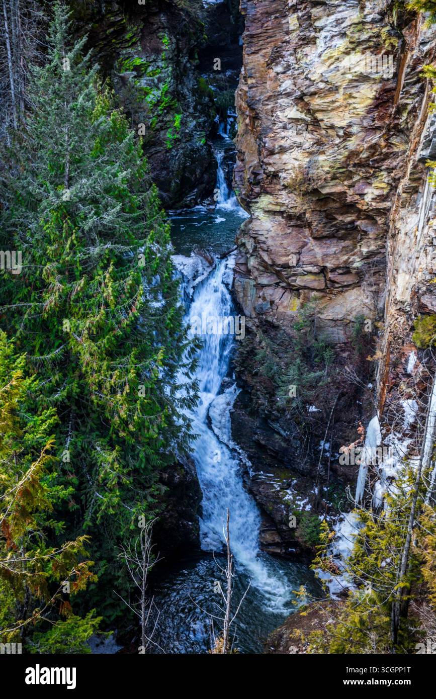Myrtle Falls traverse un canyon rocheux entouré de conifères au Kootenai National Wildlife refuge dans l'Idaho. Banque D'Images