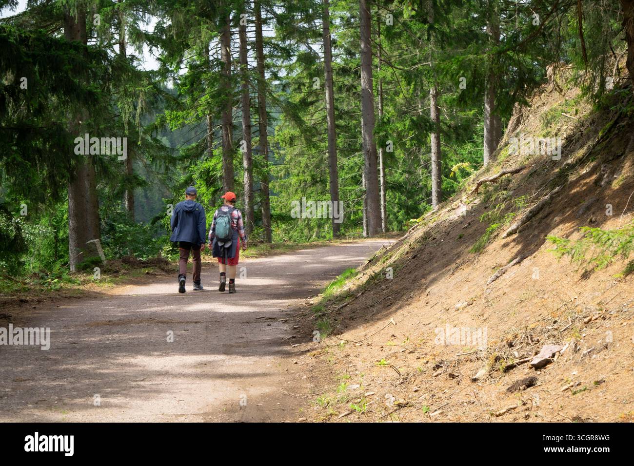 Deux randonneurs marchent le long d'un sentier forestier pittoresque en été, profitant de l'aventure, de la nature et des voyages en plein air paisibles. Banque D'Images
