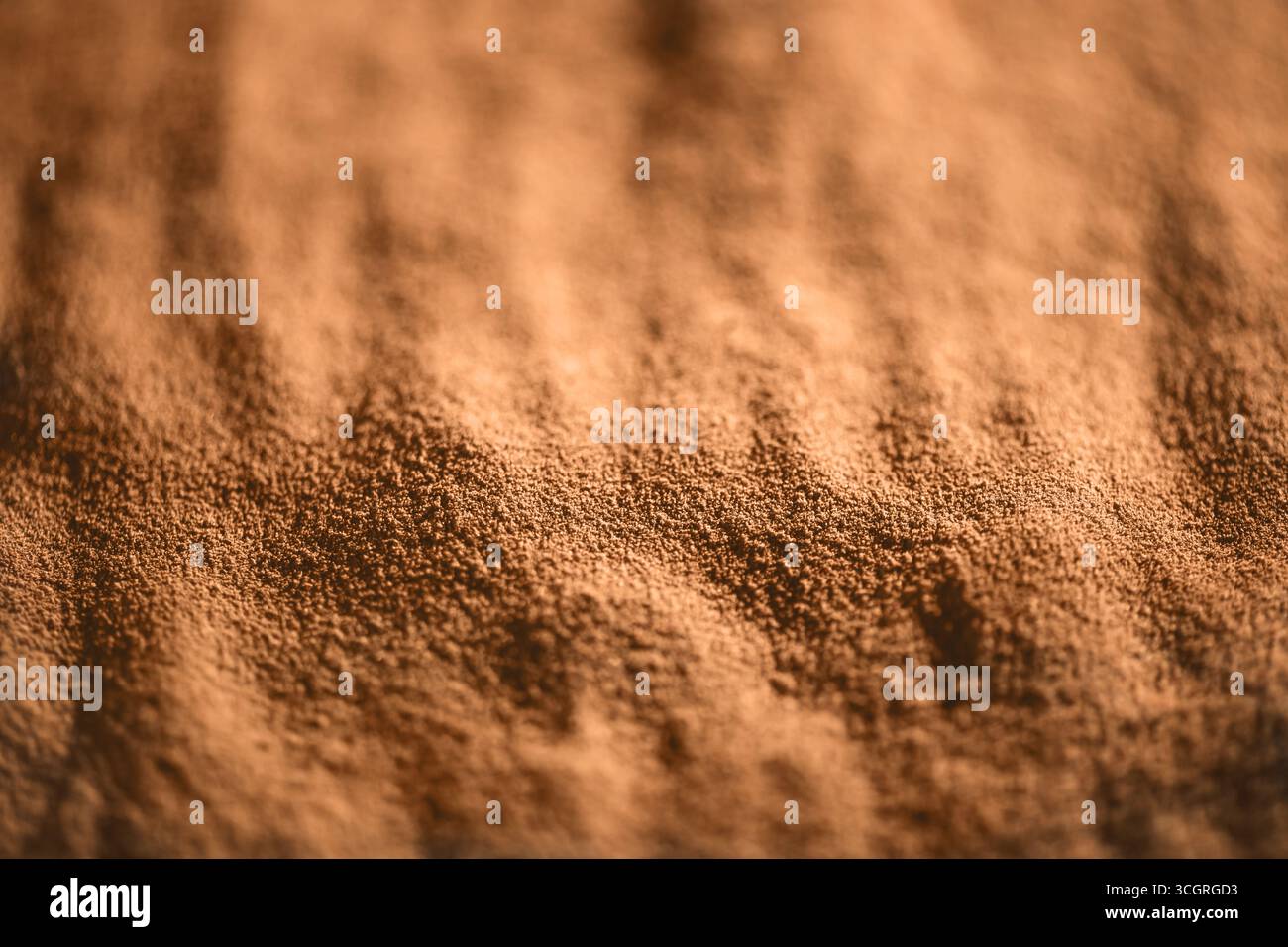 Vue rapprochée de la poudre de racine de chicorée moulue, révélant sa riche couleur brune et sa texture ondulée subtile, créant un motif visuel intéressant Banque D'Images