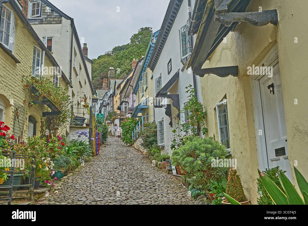 Étroite rue pavée à travers le village de Clovelly dans le nord du Devon Banque D'Images
