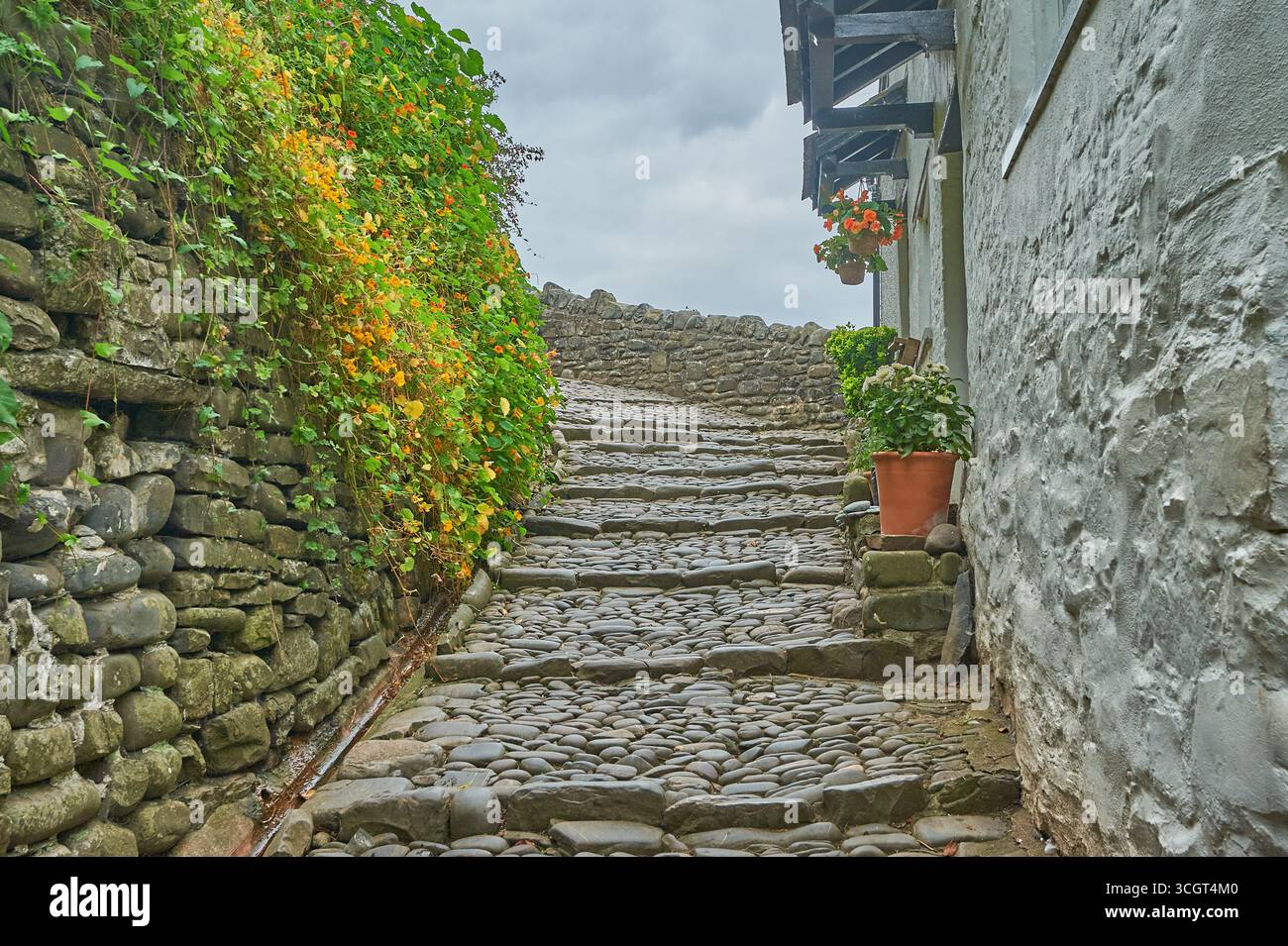 Étroite rue pavée à travers le village de Clovelly dans le nord du Devon Banque D'Images