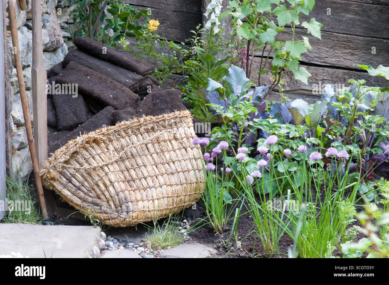 Un panier tissé fabriqué à la main s'appuie contre une clôture en bois dans un jardin luxuriant rempli de fleurs colorées, d'herbes et de terre. Banque D'Images