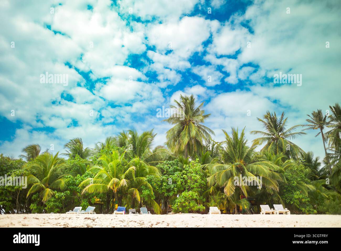La beauté tropicale de l'île de San Andres, avec des palmiers bordant la plage de sable blanc de Johnny Cay. Banque D'Images