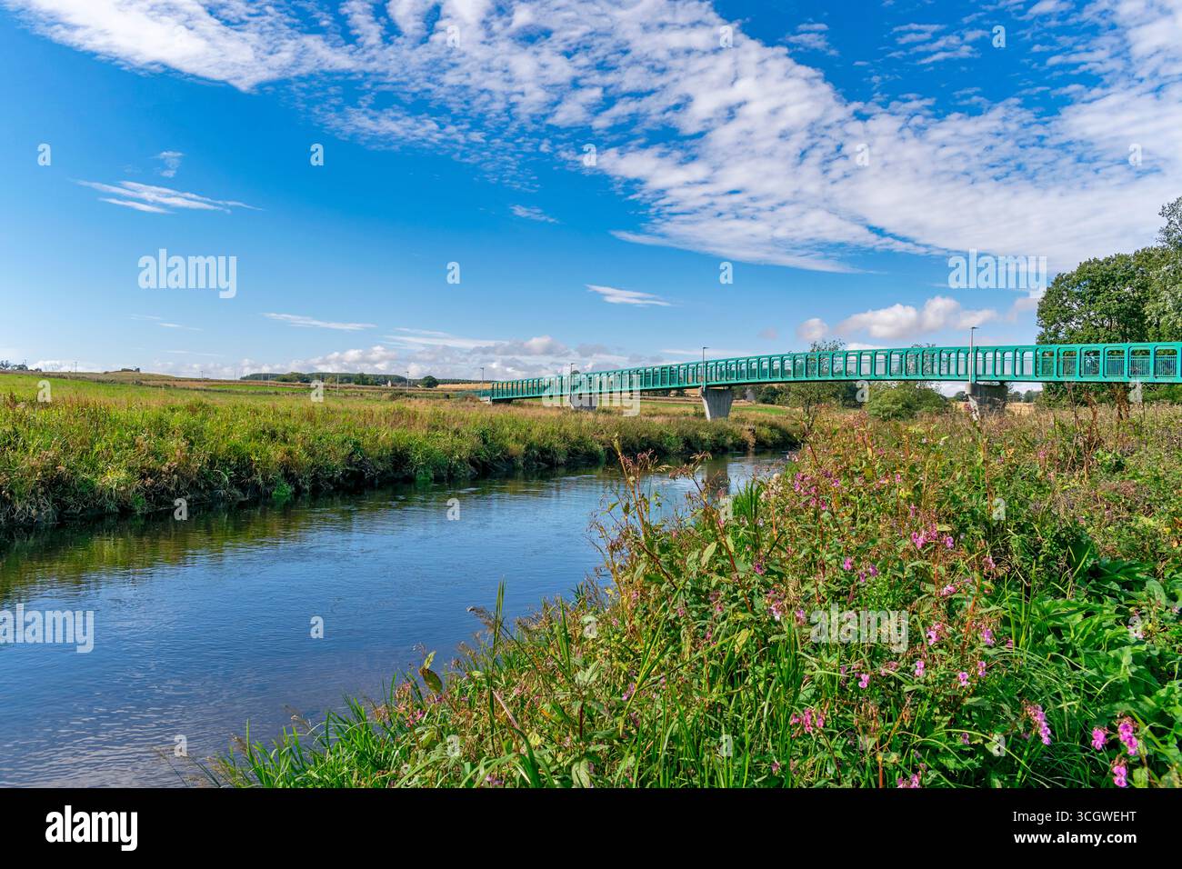 Ellon Aberdeenshire Scotland Boatie Tams Brig et fleurs bordaient les rives de la rivière Ythan en été Banque D'Images