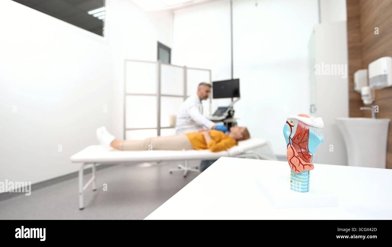 Médecin faisant l'échographie à la patiente féminine au bureau d'échographie de la clinique médicale avec le modèle anatomique de la thyroïde dans la table. Diagnostic échographique Banque D'Images