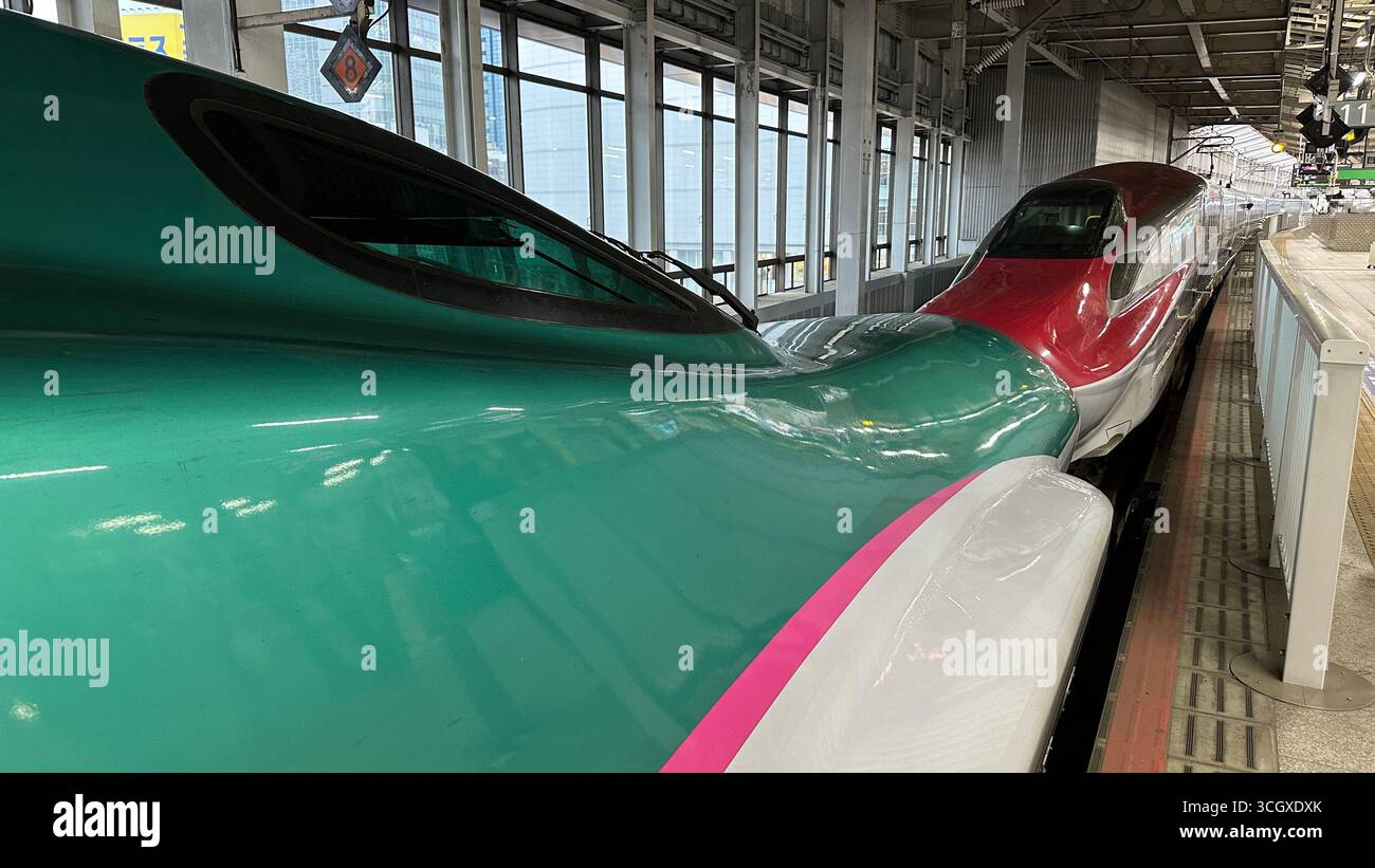 Deux trains à grande vitesse japonais Shinkansen couplés à la gare de Tokyo, reliant les régions de Tohoku et Akita avec le train à grande vitesse. Banque D'Images