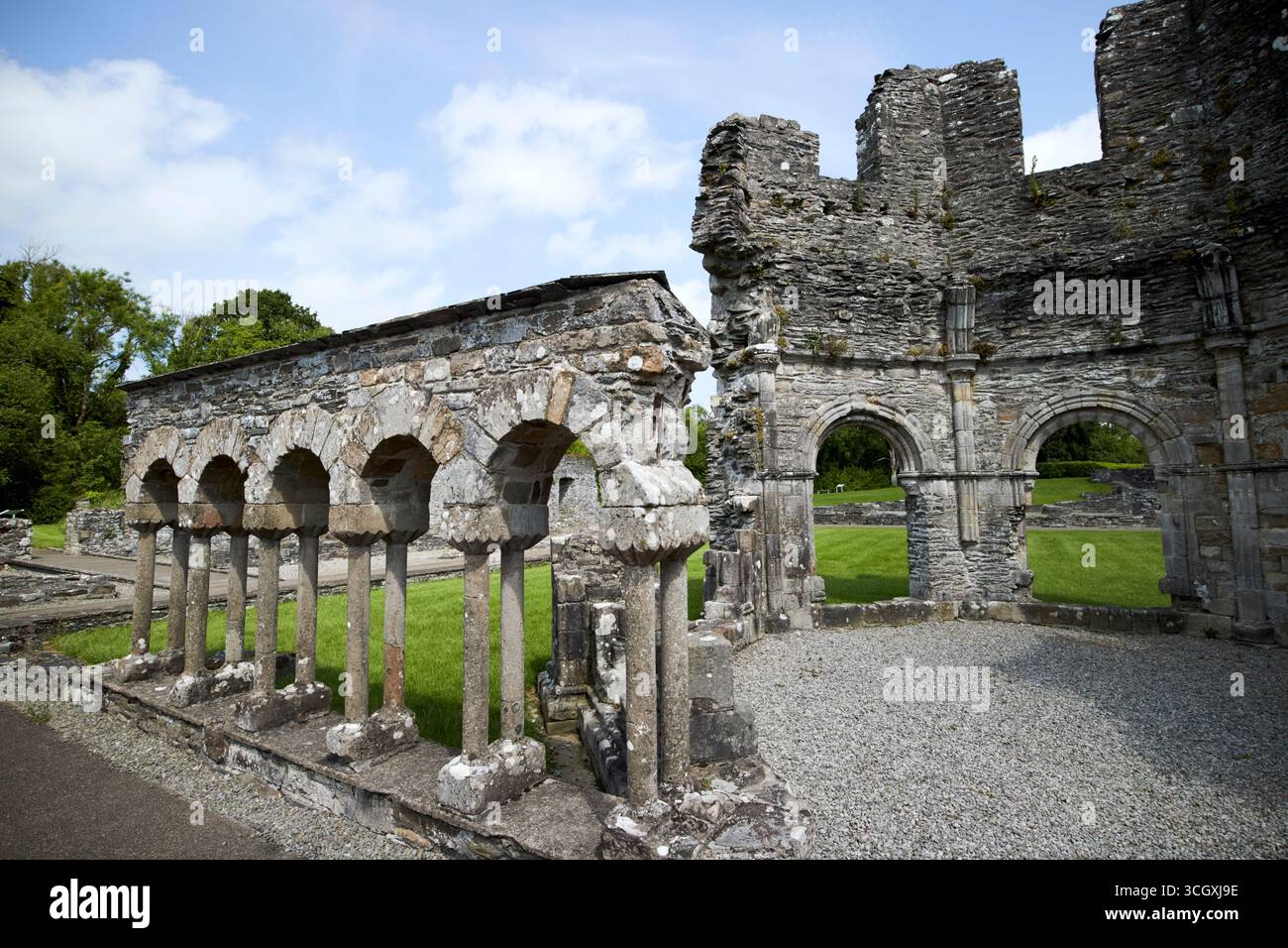 cloître et lavabo mellifont abbaye comté de louth république d'irlande Banque D'Images