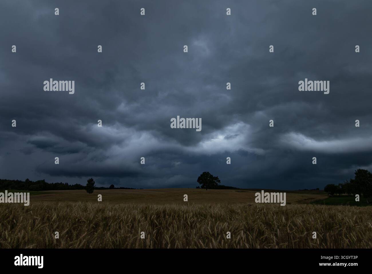 Nuages orageux sombres au-dessus du champ de blé. Panorama carré de deux photos 20 Banque D'Images