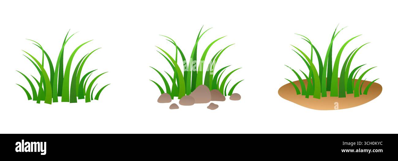 Ensemble de feuilles d'herbe verte. Illustration vectorielle isolée sur fond blanc. Illustration de Vecteur