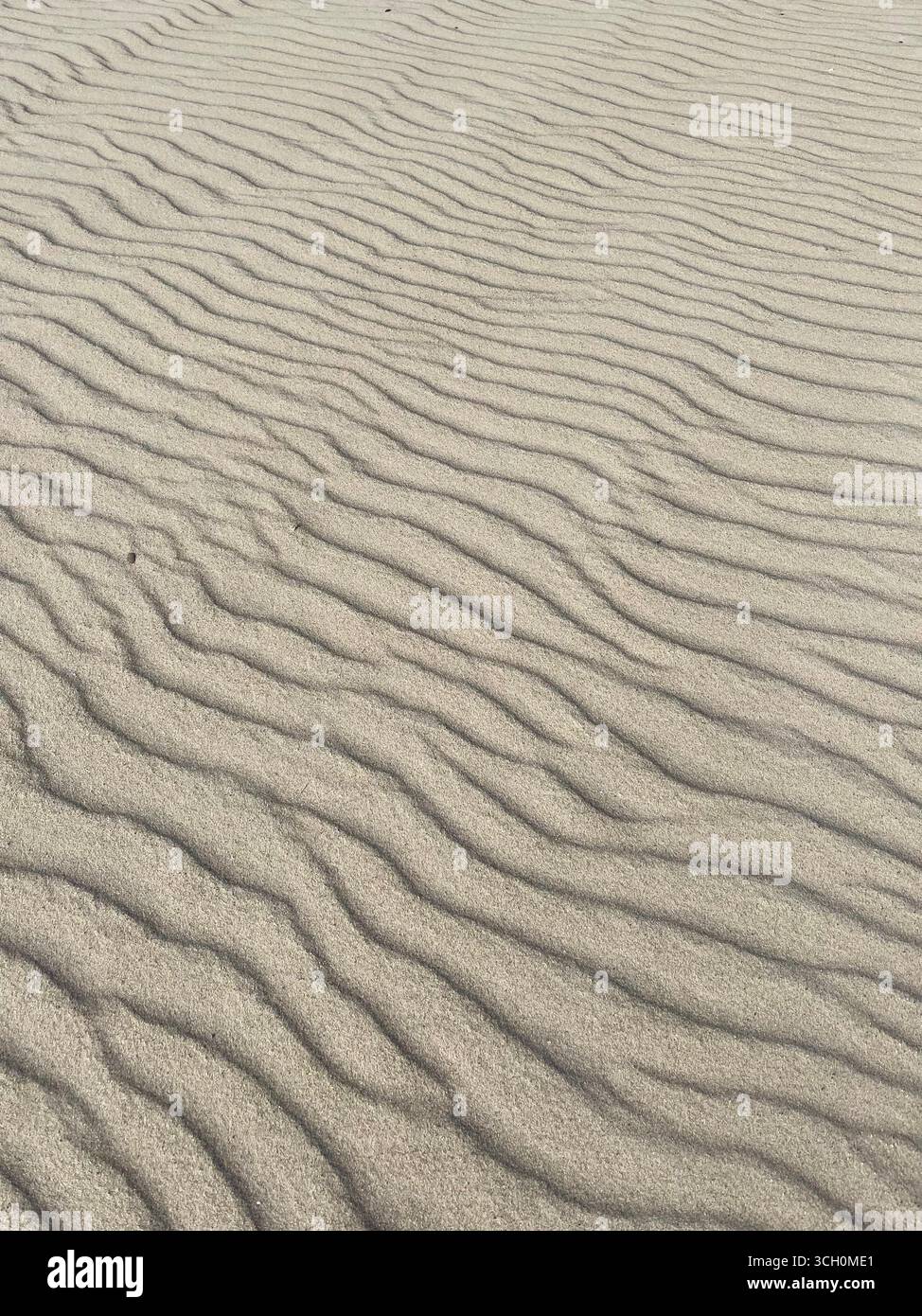 Photo de sable balayé par le vent sur la côte de la mer du Nord. - Image de stock capturée avec un smartphone
