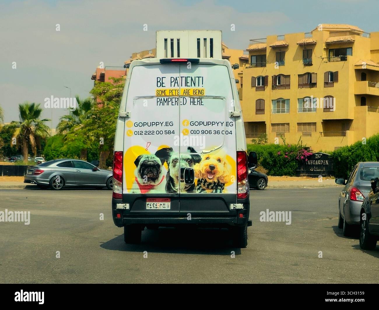 Le Caire, Égypte, 1er août 2025 : toilettage mobile pour animaux de compagnie, entretien des animaux de compagnie, pour le soin et le bien-être des animaux de compagnie, Go Puppy GOPuppy van mobile sur la route avec English phra Banque D'Images