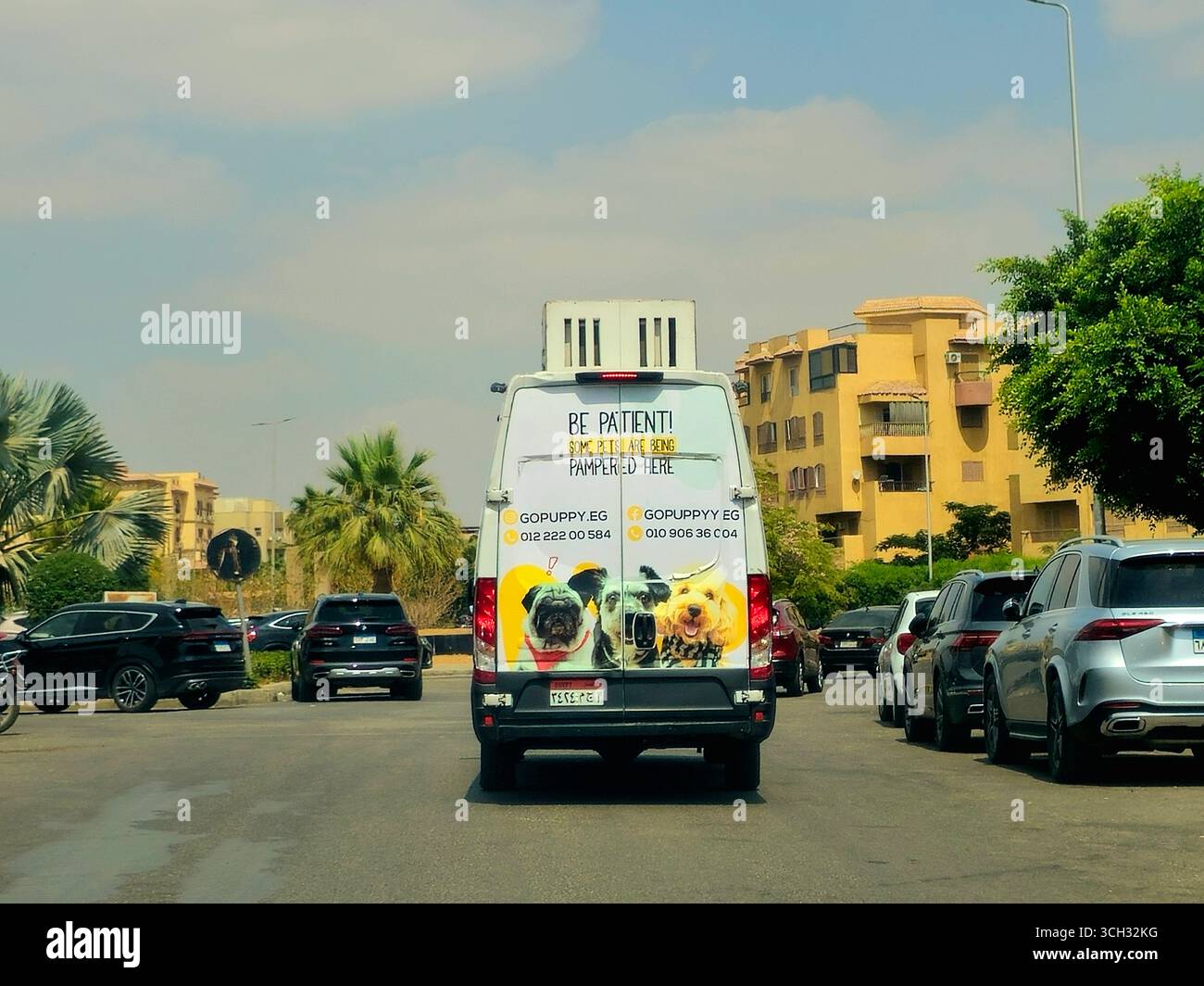 Le Caire, Égypte, 1er août 2025 : toilettage mobile pour animaux de compagnie, entretien des animaux de compagnie, pour le soin et le bien-être des animaux de compagnie, Go Puppy GOPuppy van mobile sur la route avec English phra Banque D'Images