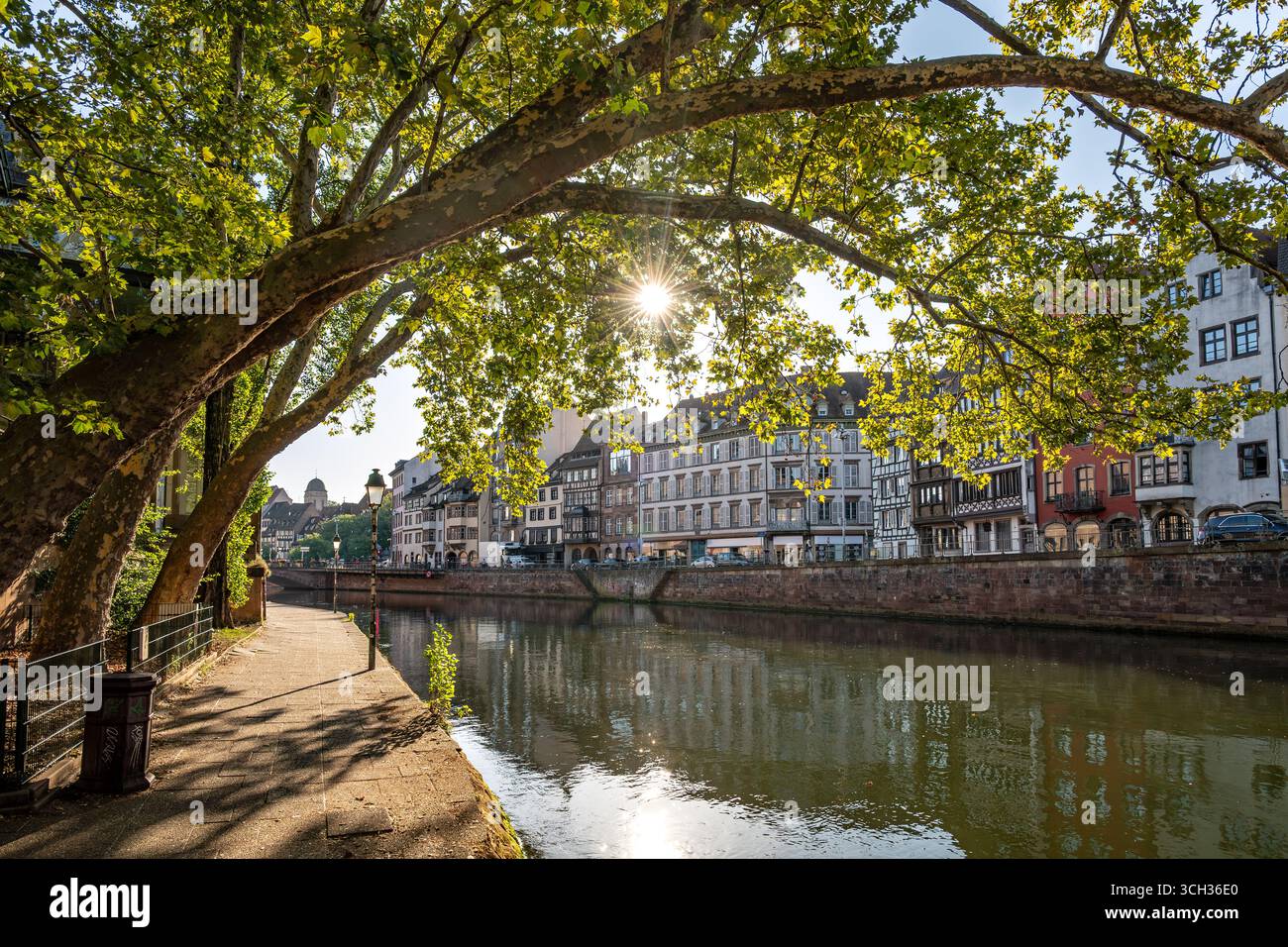 Belle matinée au bord de la rivière dans la ville de Strasbourg en France Banque D'Images