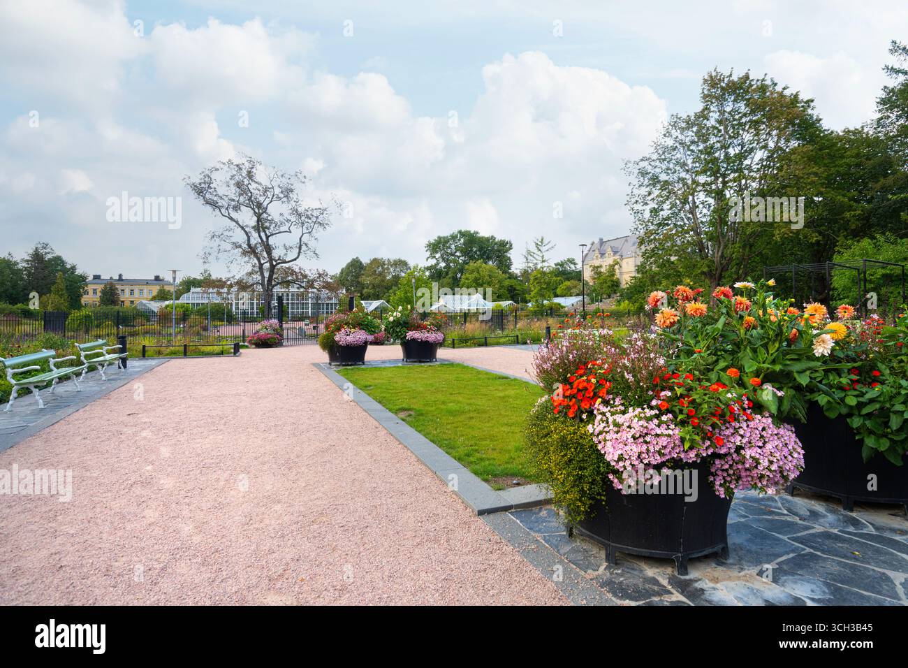 Helsinki, Finlande. Août 26 2025. Vue panoramique sur les jardins du jardin botanique de Kaisaniemi dans le centre-ville Banque D'Images