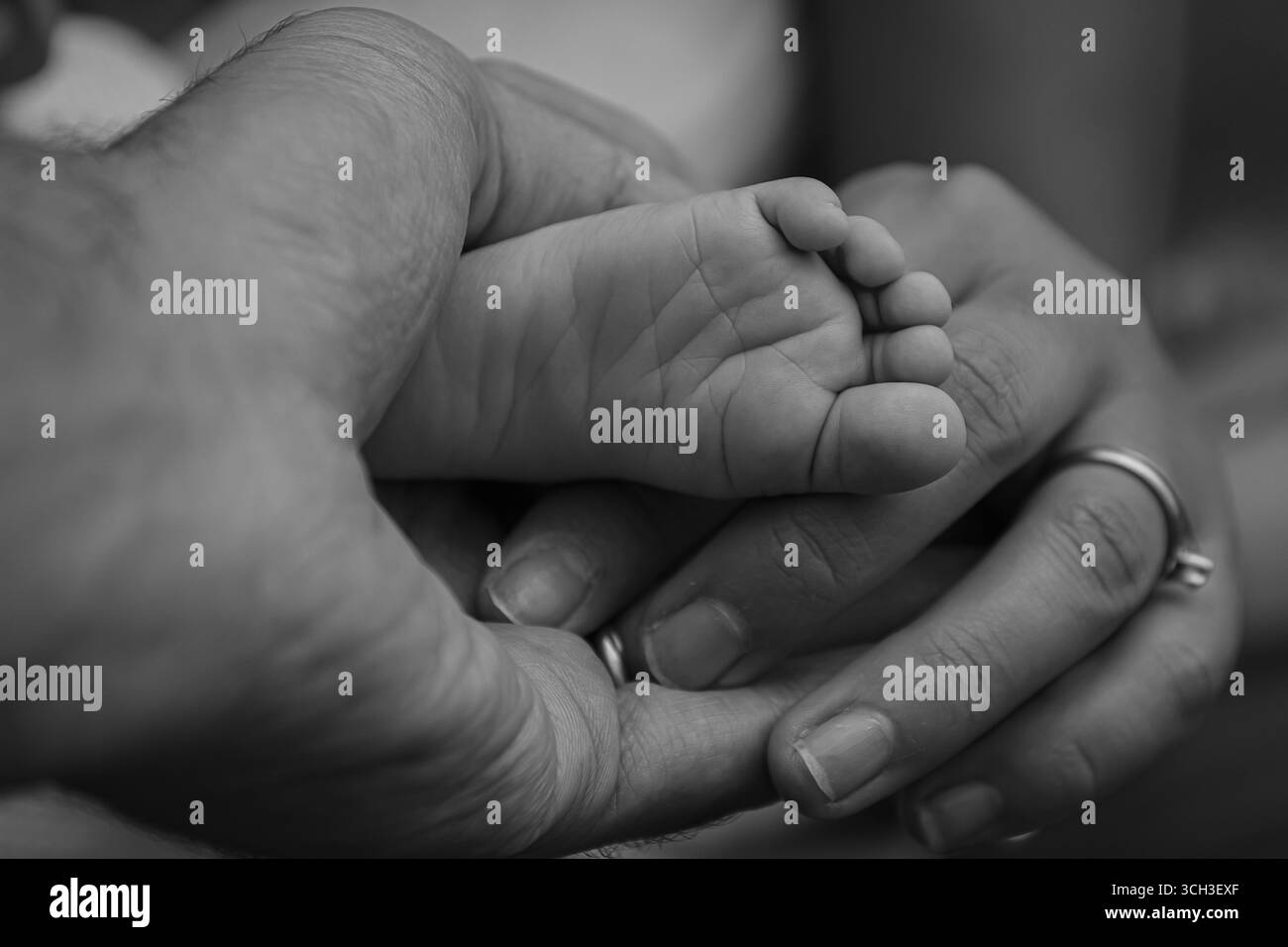 le pied tendre d'un nouveau-né entre les mains de ses parents Banque D'Images
