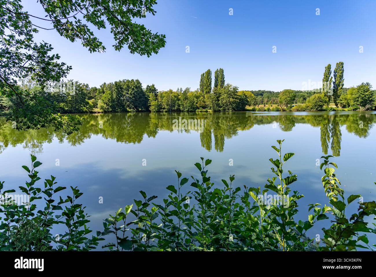 Der Angersee oder Baiersdorfer Weiher in Baiersdorf, Oberfranken, Bayern, Deutschland | Lac d'Angersee in Baiersdorf, haute-Franconie, Bavière, Allemand Banque D'Images