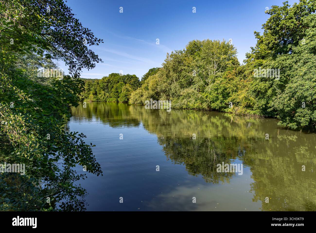 Regnitz Altwasser in Forchheim, Oberfranken, Bayern, Deutschland | Regnitz River Backwater in Forchheim, haute-Franconie, Bavière, Allemagne Banque D'Images