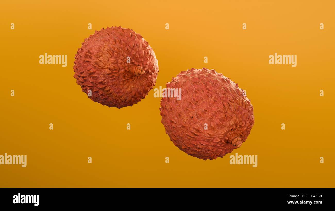 Deux fruits de litchi à la peau rougeâtre-brun rugueuse isolés sur un fond jaune doré. Parfait pour les fruits exotiques, la nutrition tropicale et la nourriture saine Banque D'Images