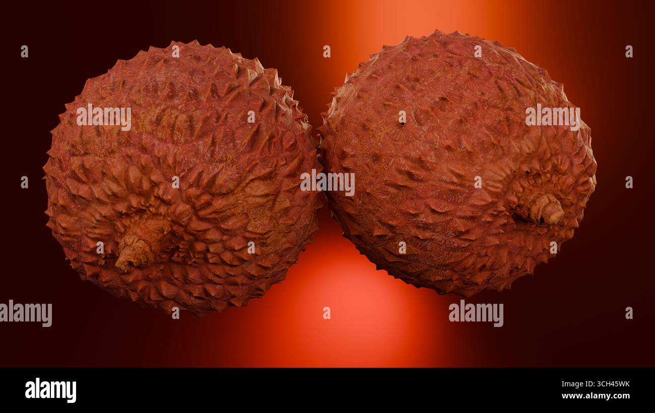 Gros plan de deux fruits de litchi avec une peau texturée rugueuse sur un fond rouge éclatant avec effet lumineux. Parfait pour la conception de fruits, les produits tropicaux, a Banque D'Images