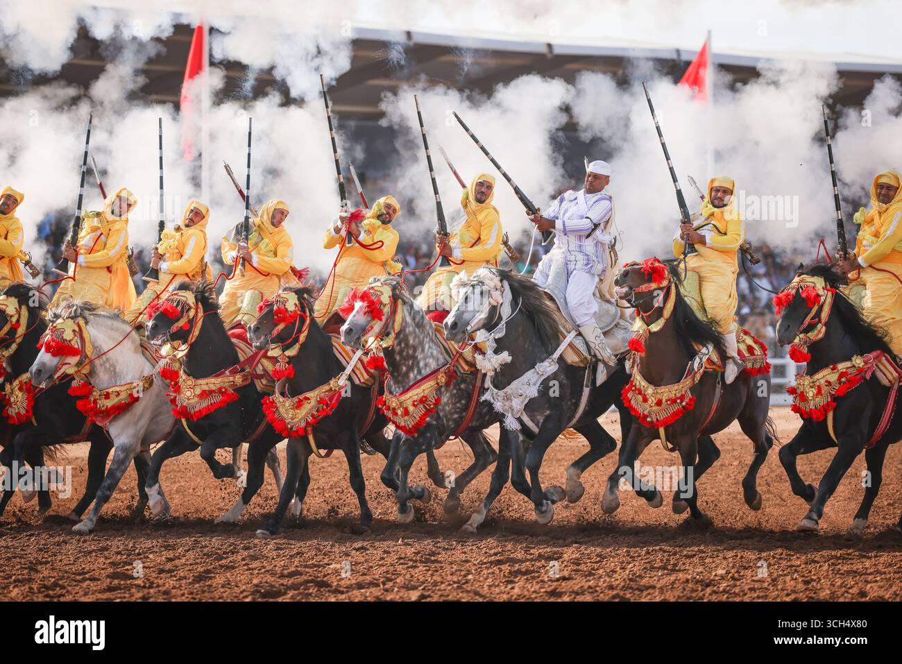 Une histoire de courage, d'unité et d'héritage capturée dans un seul cadre. Cavaliers en costumes marocains colorés galopant sur des chevaux arabes dans un spectacle Fantasia Banque D'Images