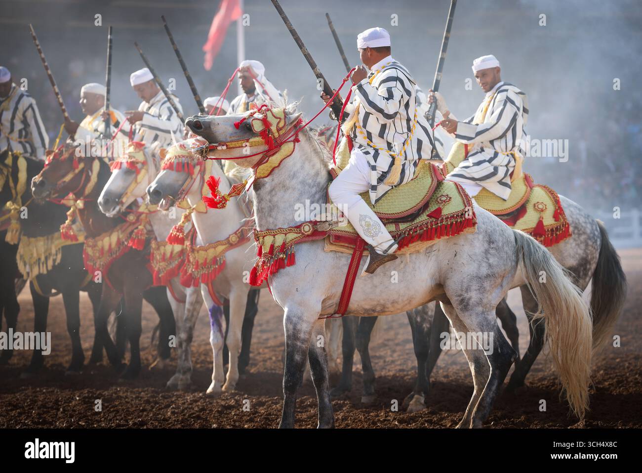 Une histoire de courage, d'unité et d'héritage capturée dans un seul cadre. Cavaliers en costumes marocains colorés galopant sur des chevaux arabes dans un spectacle Fantasia Banque D'Images