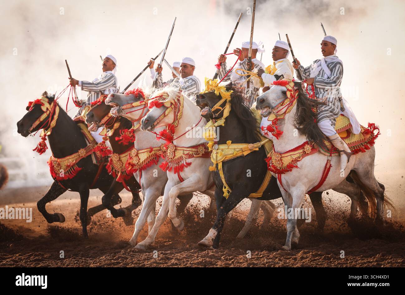 Une histoire de courage, d'unité et d'héritage capturée dans un seul cadre. Cavaliers en costumes marocains colorés galopant sur des chevaux arabes dans un spectacle Fantasia Banque D'Images