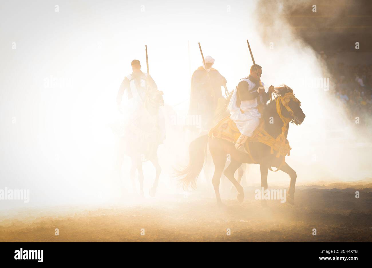 Une histoire de courage, d'unité et d'héritage capturée dans un seul cadre. Cavaliers en costumes marocains colorés galopant sur des chevaux arabes dans un spectacle Fantasia Banque D'Images