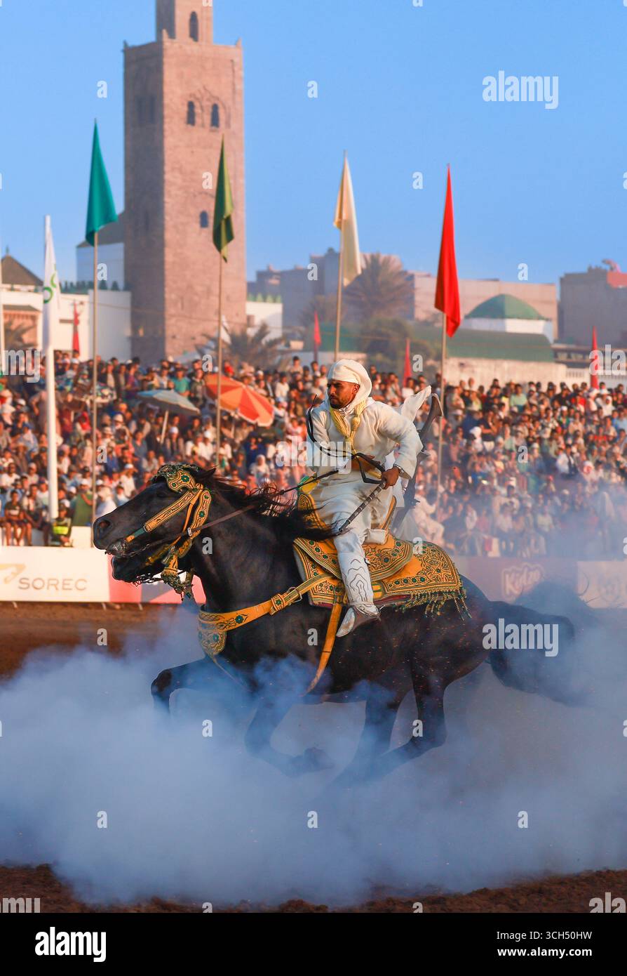 Une histoire de courage, d'unité et d'héritage capturée dans un seul cadre. Cavaliers en costumes marocains colorés galopant sur des chevaux arabes dans un spectacle Fantasia Banque D'Images