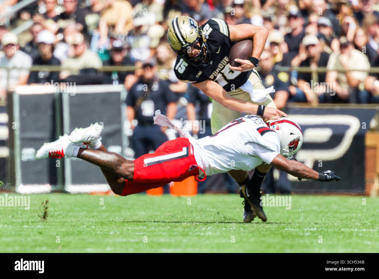 30 août 2025 : le quarterback de Purdue Ryan Browne (15 ans) court avec le ballon alors que l'arrière défensif de Ball State Ashton Whitner (7 ans) poursuit lors d'un match de football NCAA entre les Cardinals de Ball State et les Boilermakers de Purdue au stade Ross-Ade à West Lafayette, Indiana. John Mersits/CSM Banque D'Images