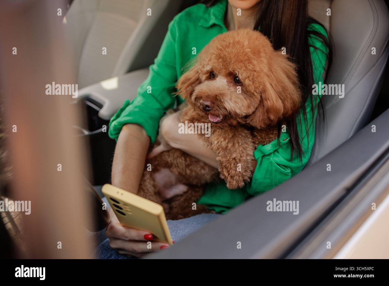 La jeune femme aime voyager avec son chien en voiture, soulignant la compagnie d'animaux de compagnie, le confort et les moments de vie urbaine. Banque D'Images