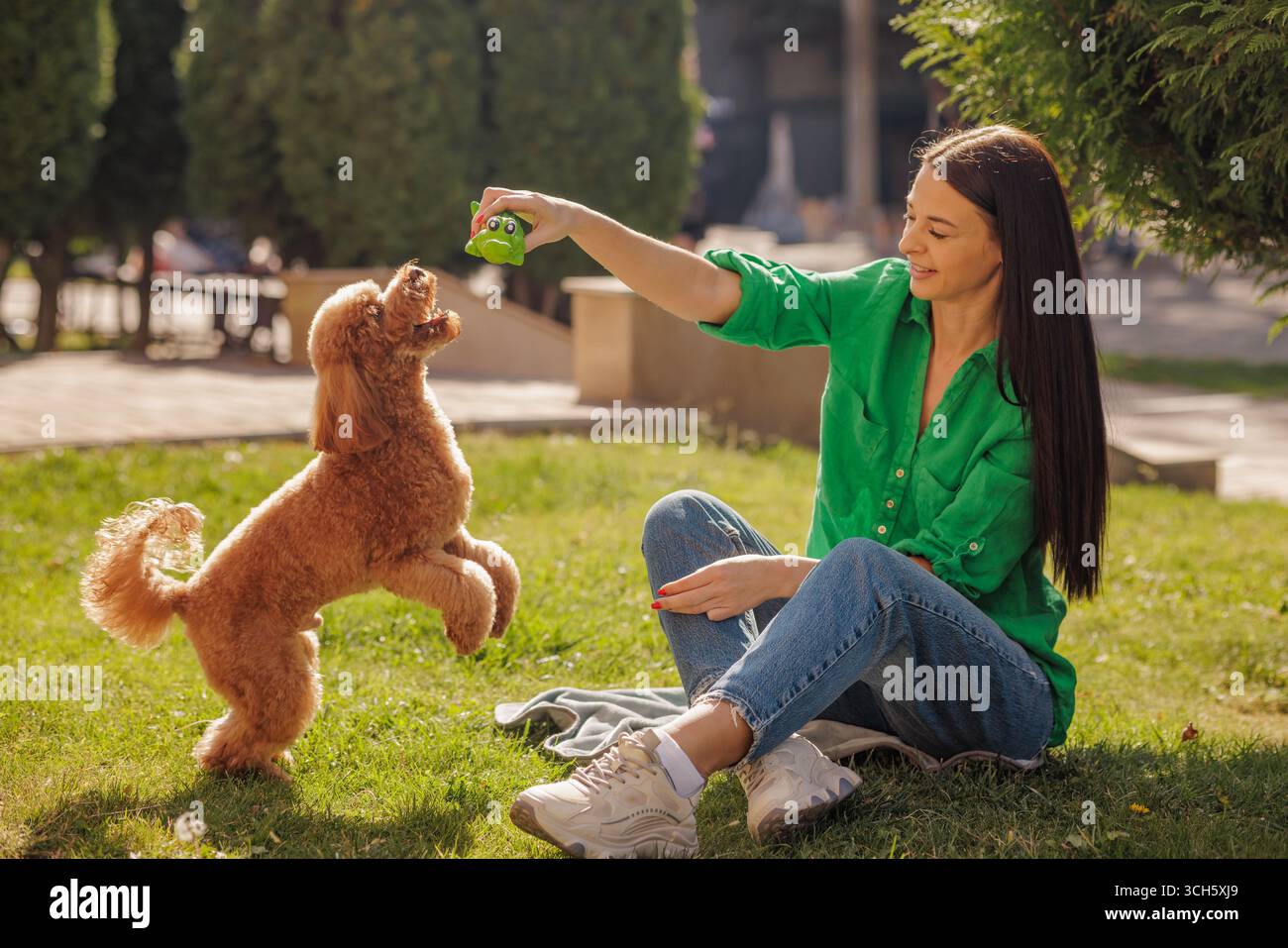 Femme souriante jouant et formant chien caniche joyeux à l'extérieur avec jouet amour de renforcement positif pour les animaux et concept de liaison Banque D'Images