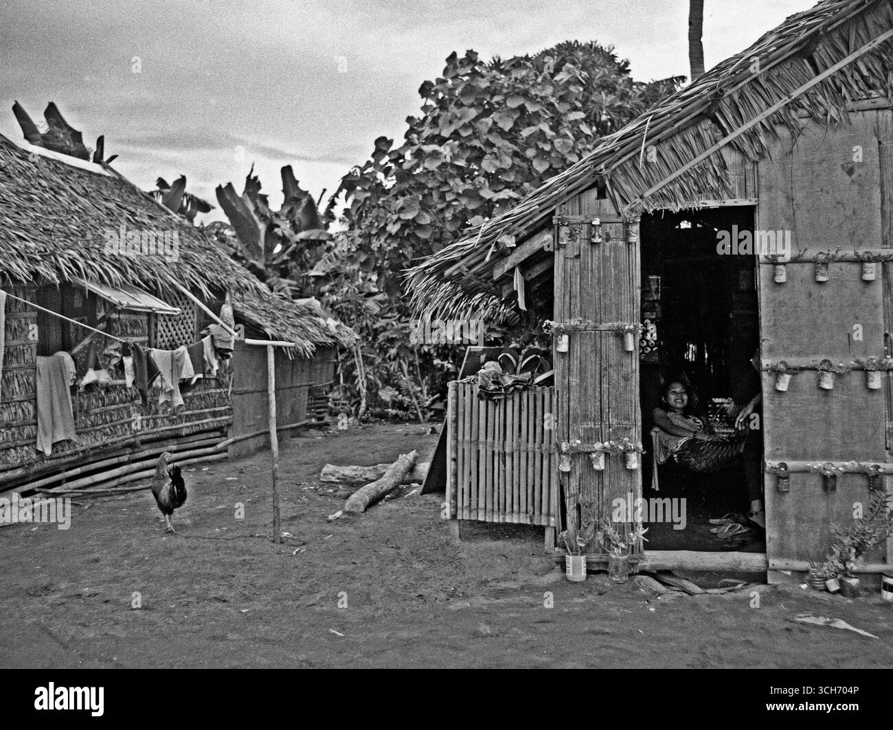 Analog Archive documentaire photo Dairy Banque D'Images