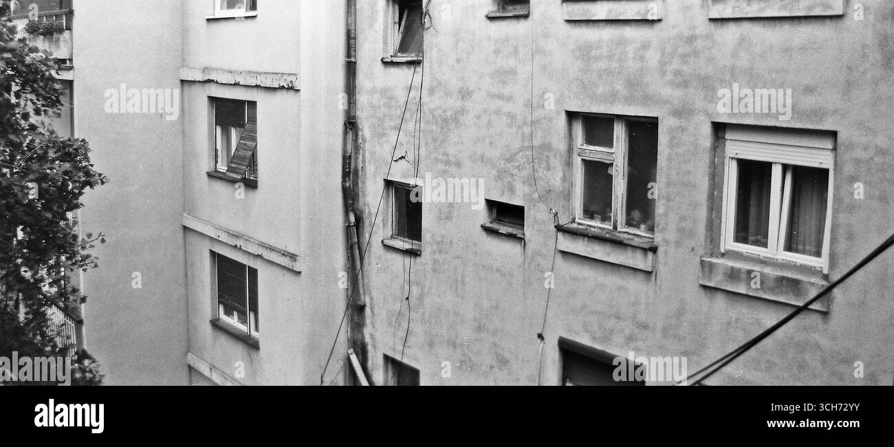 Analog Archive documentaire photo Dairy Banque D'Images