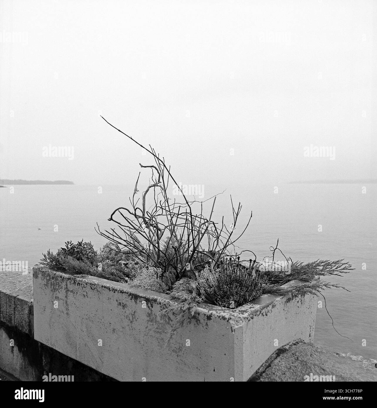 Analog Archive documentaire photo Dairy Banque D'Images