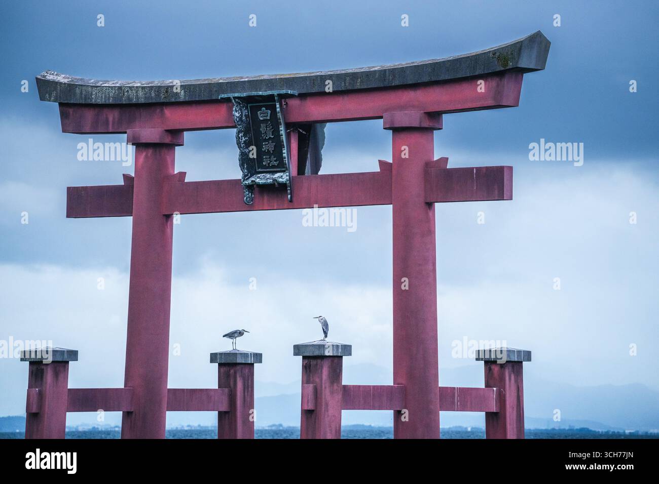Les oiseaux se perchent sur la porte torii du sanctuaire Shirahige, au Japon Banque D'Images