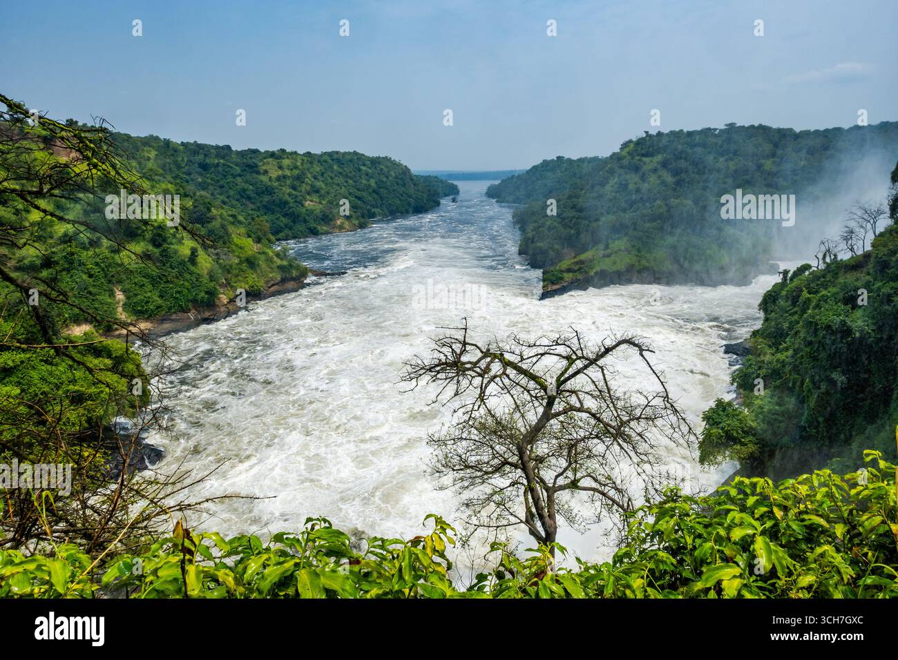 Le Nil en contrebas des puissantes chutes de Murchison. Parc national de Murchison Falls, Ouganda, Afrique. Banque D'Images